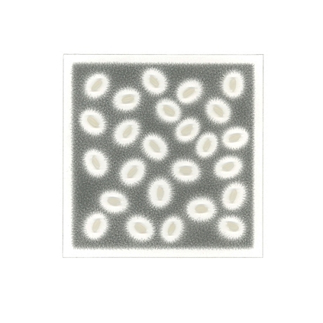 kasahara_notation 73-19