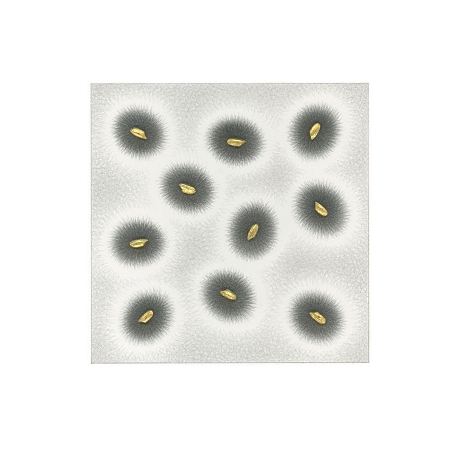 kasahara_notation 29-21